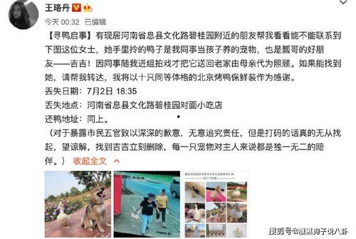 娱乐吃瓜鹅鸭视频下载,鹅鸭视频下载攻略，轻松获取热门娱乐内容  第3张