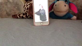 吃瓜娱乐呱,揭秘娱乐圈背后的趣味故事  第2张