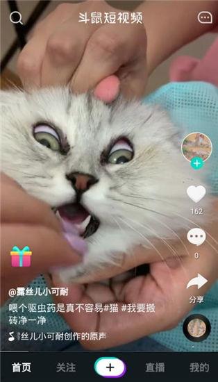 最新爆料老鼠视频下载,最新老鼠视频下载事件引发热议  第1张