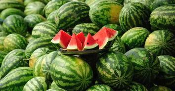 河北铺吃瓜最新事件爆料,最新爆料揭秘惊人内幕 第1张 河北铺吃瓜最新事件爆料,最新爆料揭秘惊人内幕 第1张