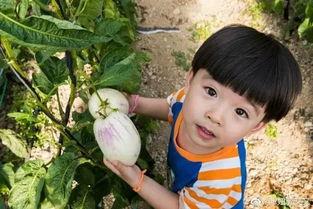 木木子娱乐吃瓜,揭秘娱乐圈最新吃瓜事件,带你领略明星幕后故事 第3张 木木子娱乐吃瓜,揭秘娱乐圈最新吃瓜事件,带你领略明星幕后故事 第3张