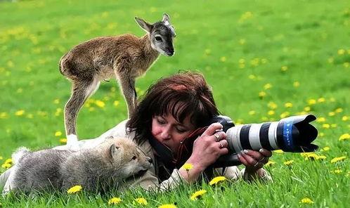 人和动物视频在线观看,在线观看精选视频集锦  第1张